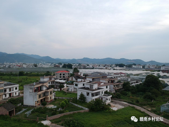 梓山万亩富硒蔬菜基地