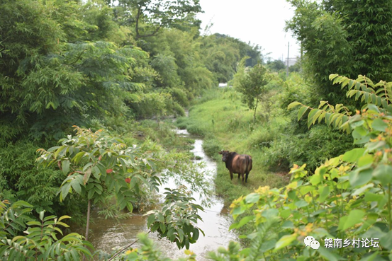 梓山万亩富硒蔬菜基地