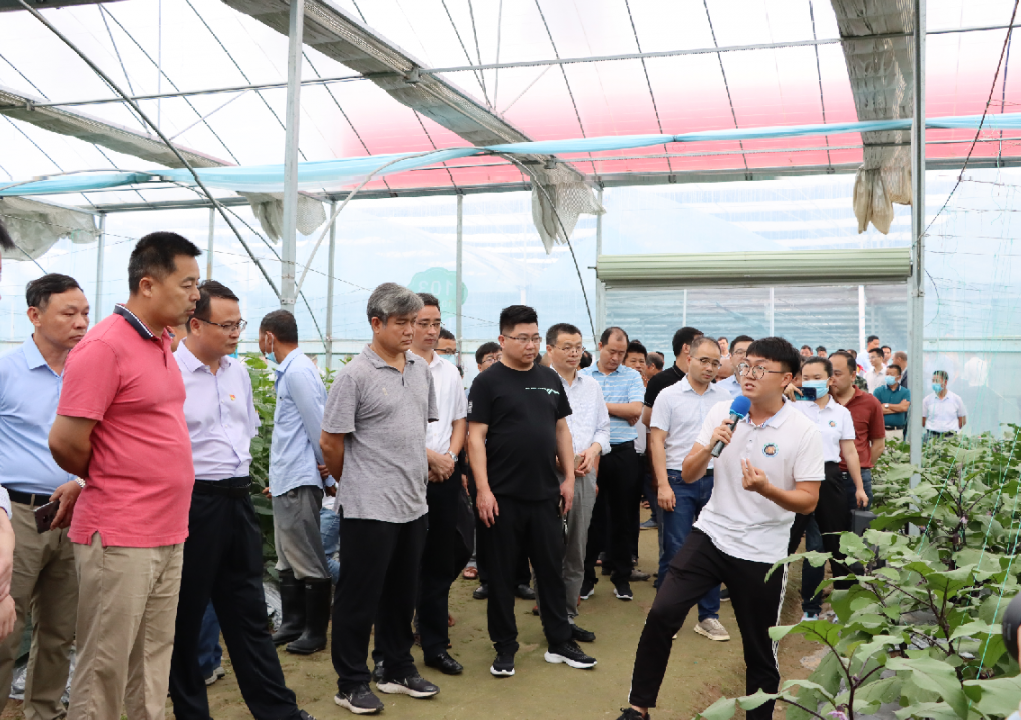 于都潭头富硒蔬菜市?。ㄓ诙几晃卟瞬翟埃?硒宝网