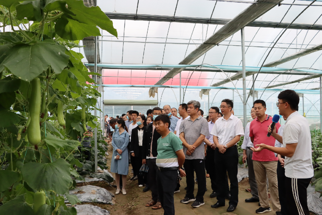 于都潭头富硒蔬菜市?。ㄓ诙几晃卟瞬翟埃?硒宝网
