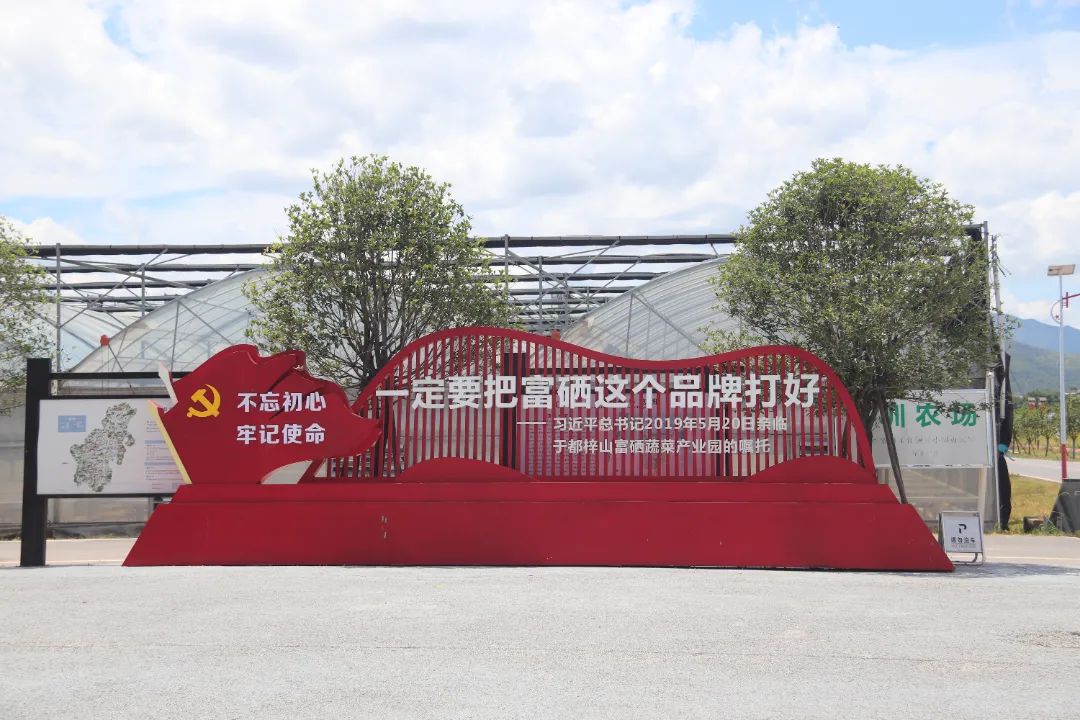 于都潭头富硒蔬菜市场(于都富硒蔬菜基地)-硒宝网