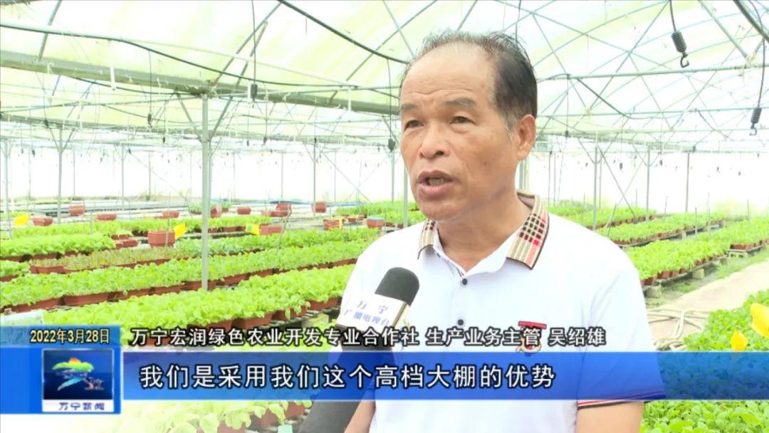 富硒有机蔬菜市场价格