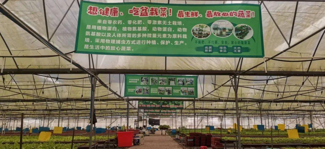 富硒有机蔬菜市场价格