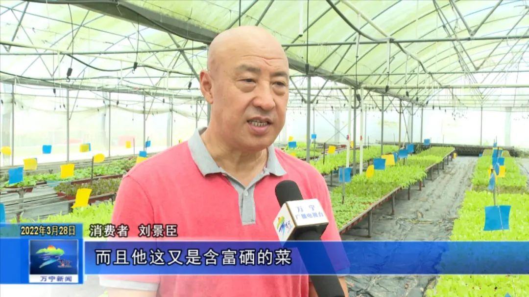 富硒有机蔬菜市场价格