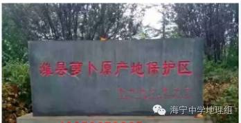 潍县富硒水果萝卜产地(萝卜产区)-硒宝网