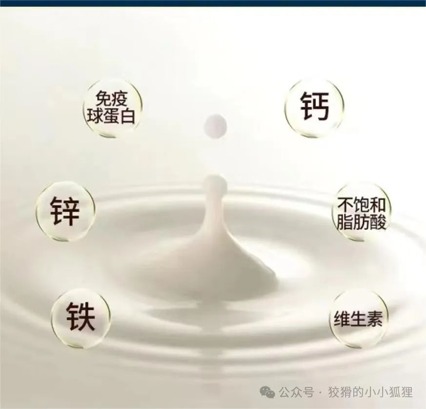 什么东西补钙最好
