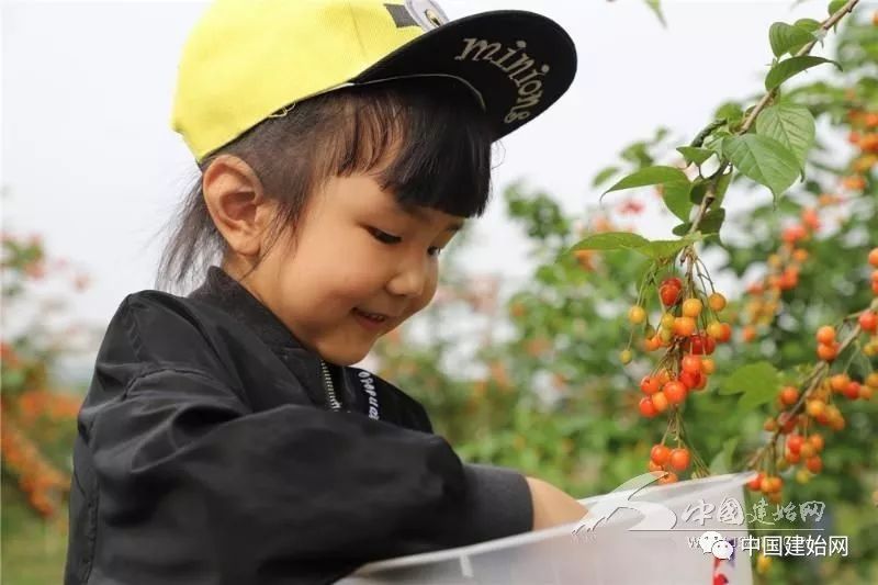什么水果属于富硒果子