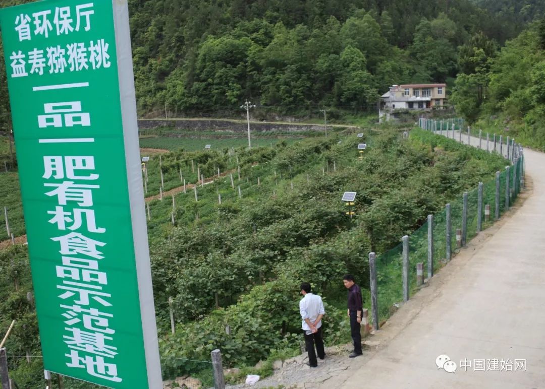 什么水果属于富硒果子