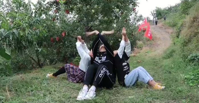 东营富硒水果采摘价格