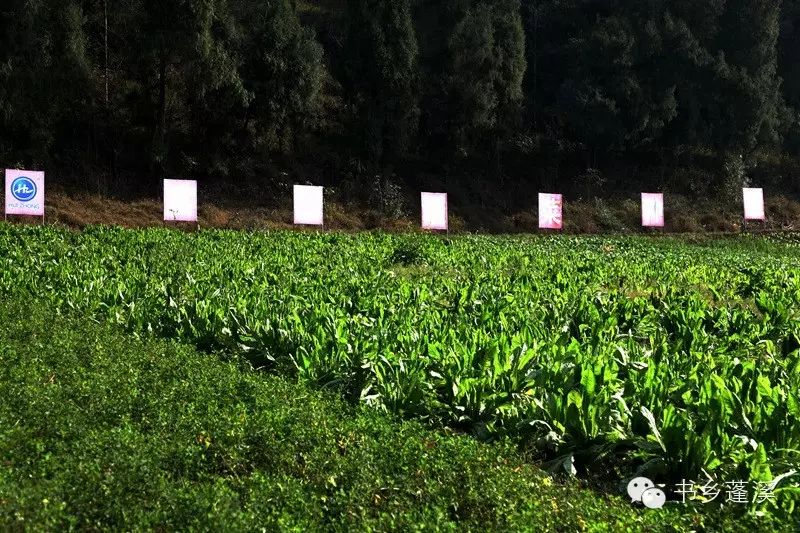 遂宁富硒水果种植基地