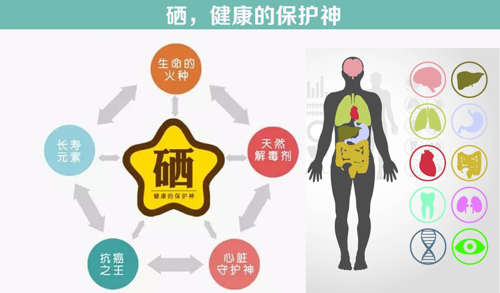 什么水果有富硒最多的