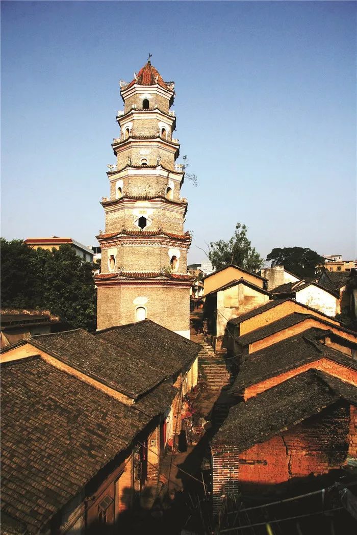 富硒果是什么样的水果