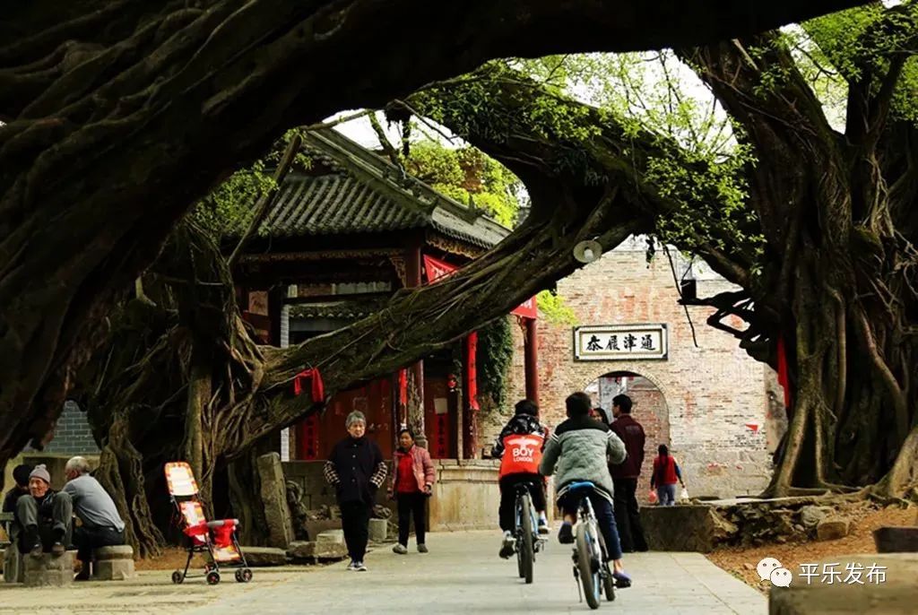 富硒果是什么样的水果