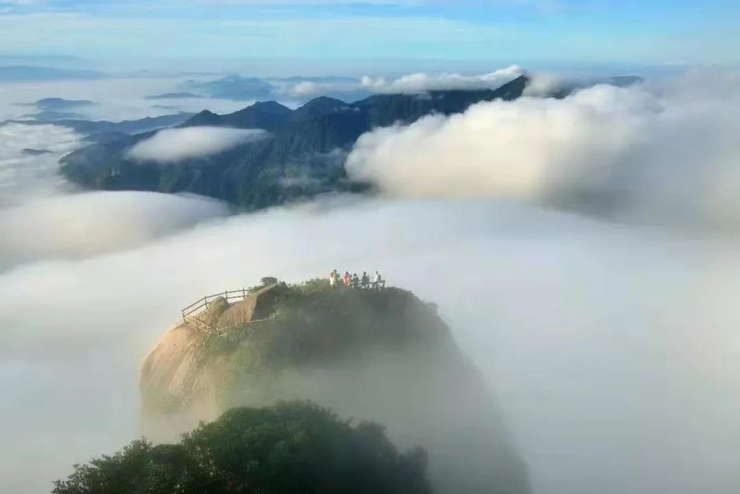 富硒果是什么样的水果