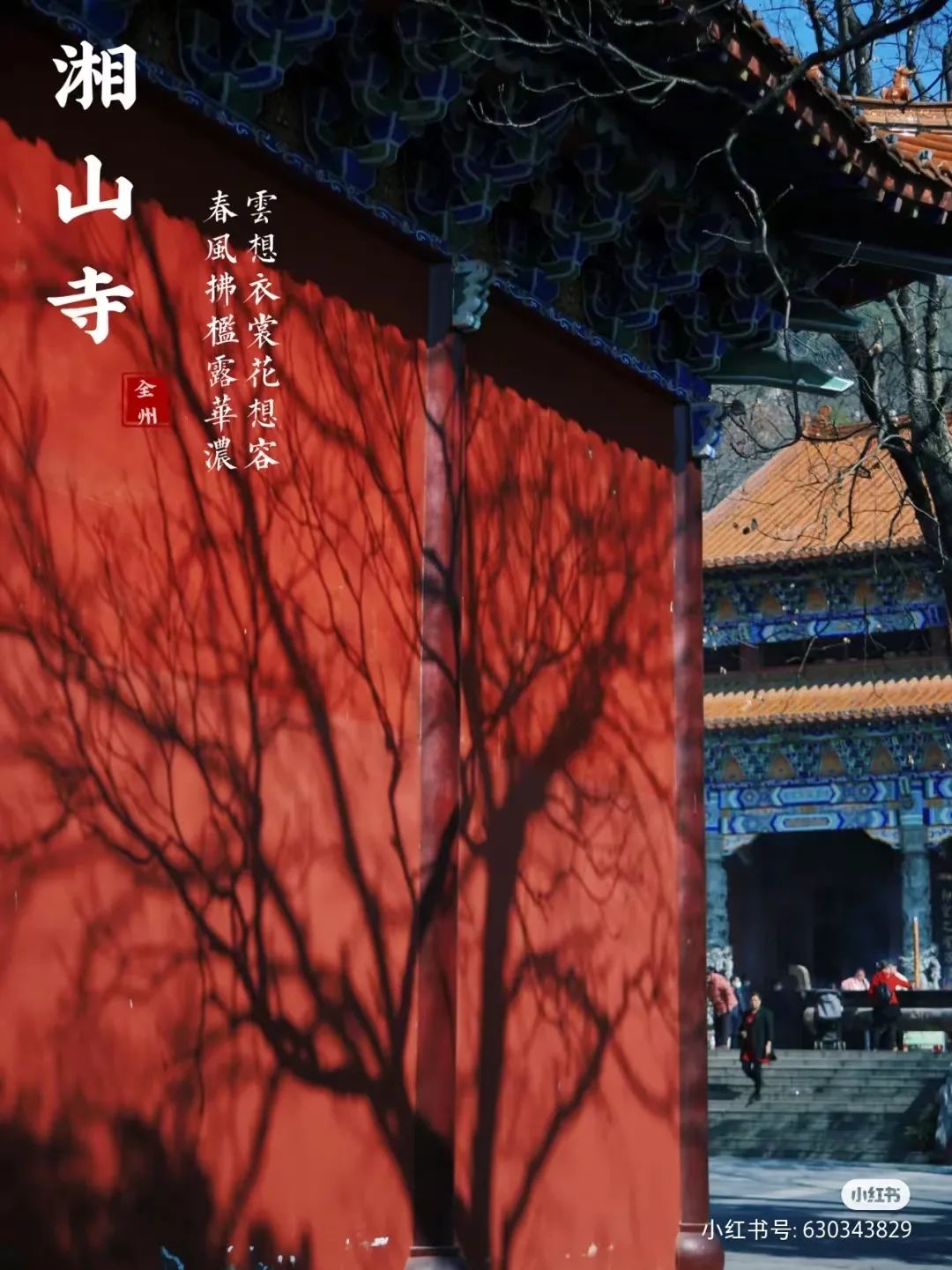 富硒果是什么样的水果
