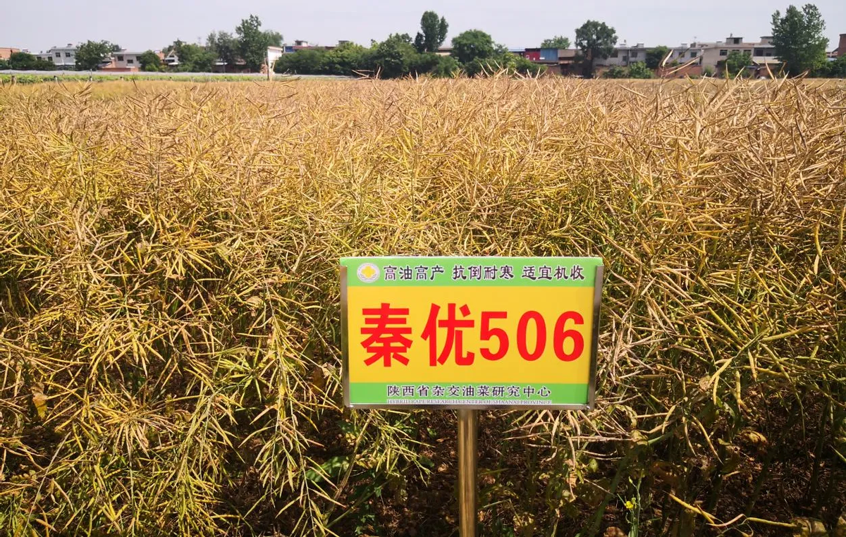 锌硒优质农产品有哪些