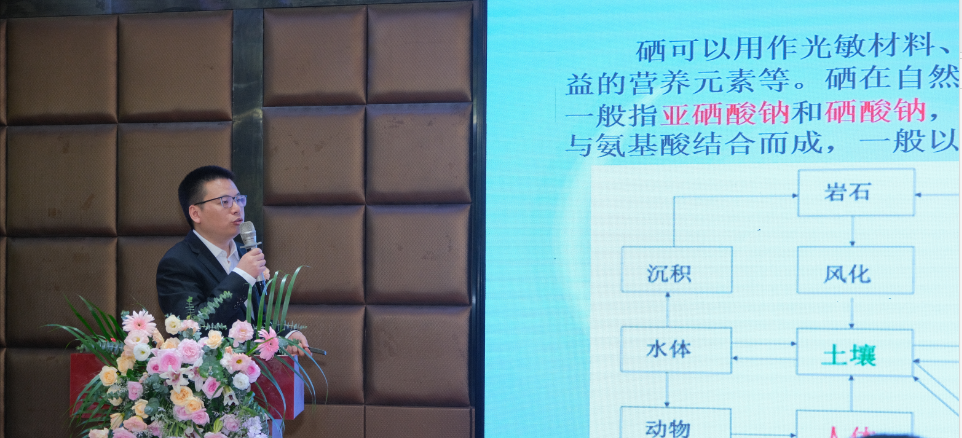 论文 硒产品开发研究