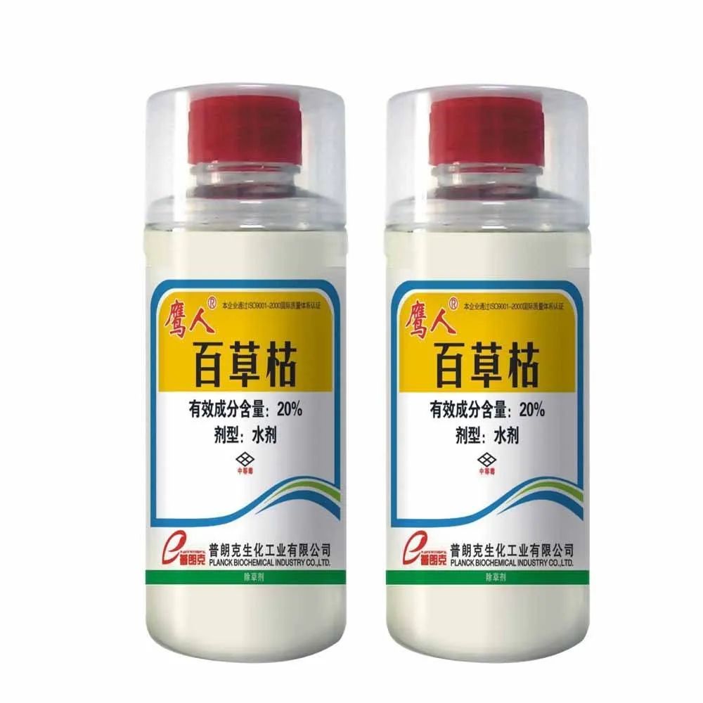 桥本甲状腺吃含硒产品
