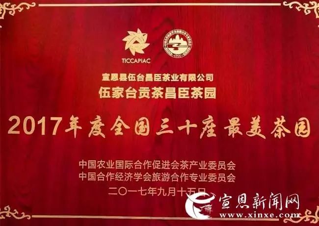 地理标志产品恩施硒茶