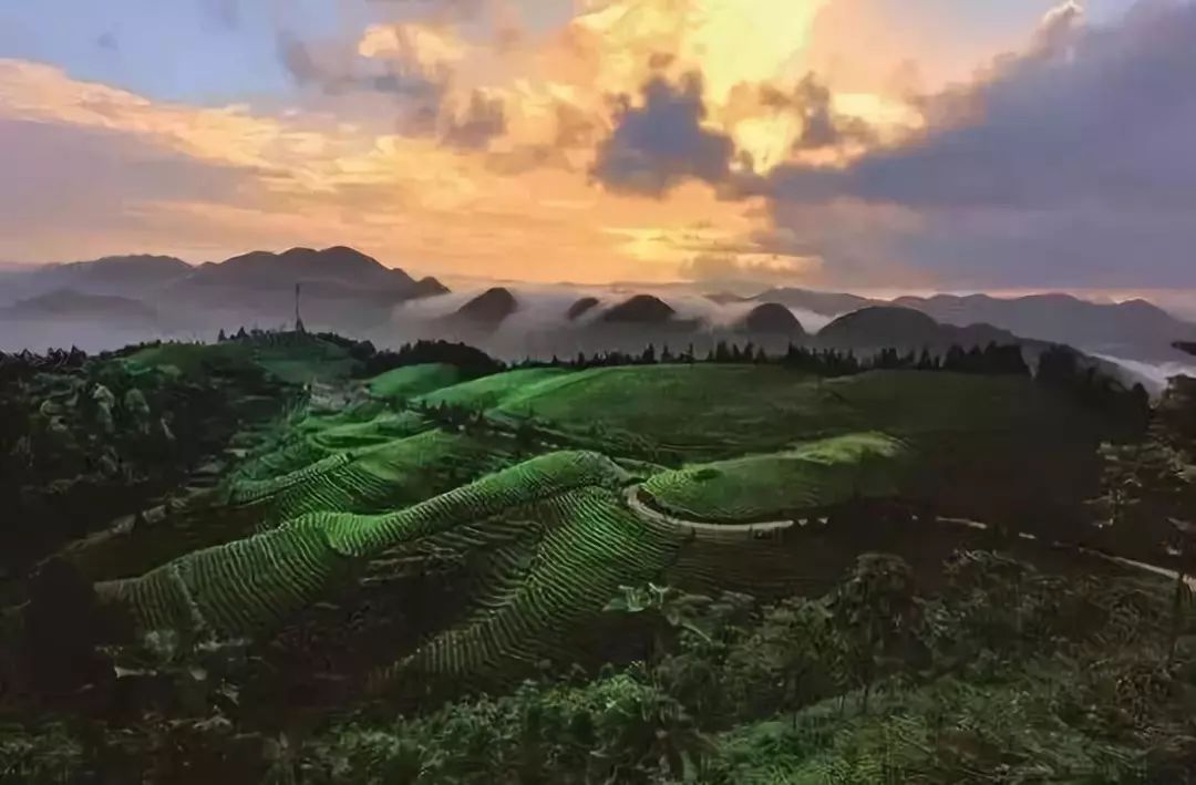 湖北利川含硒高的产品