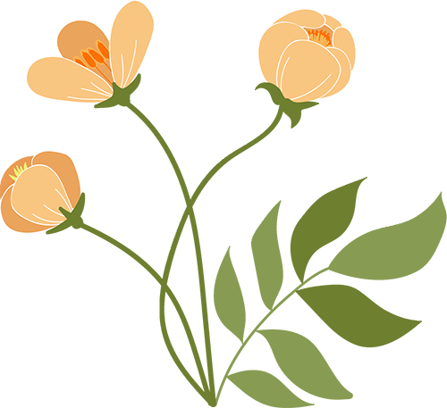 恩施硒产品的调查问卷