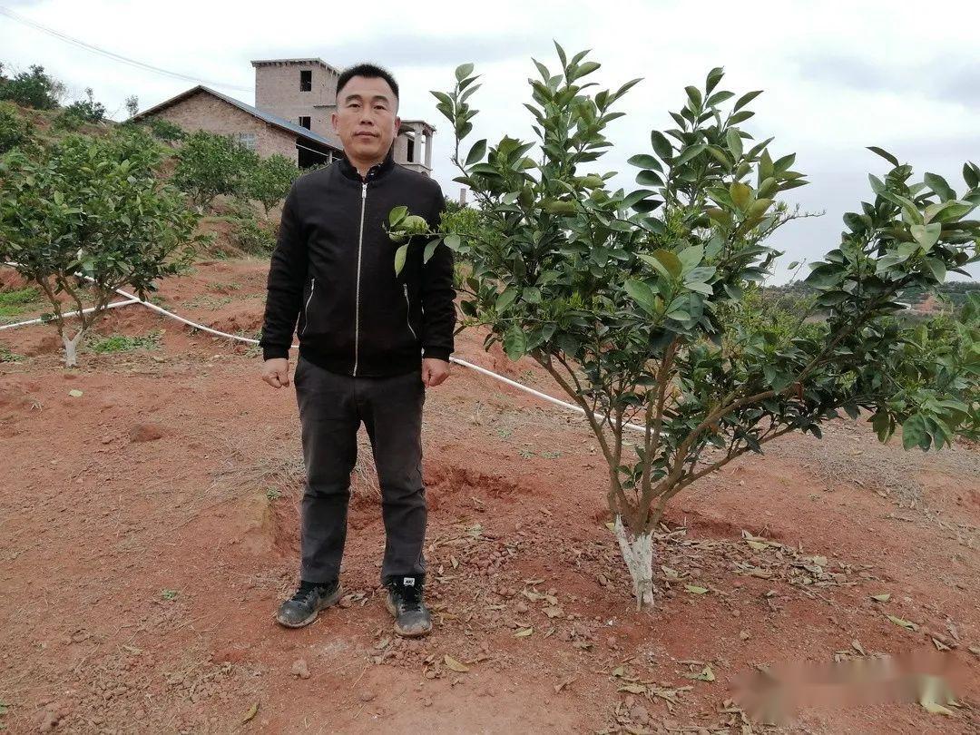 问题硒一共有几代产品