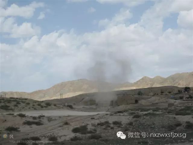 硒砂瓜主要卖什么产品