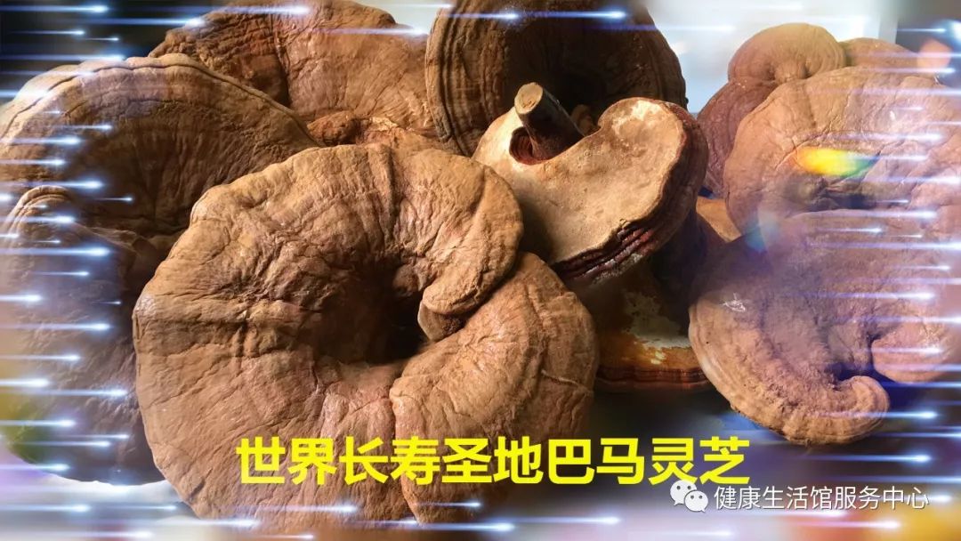 怎样检验产品的含硒量