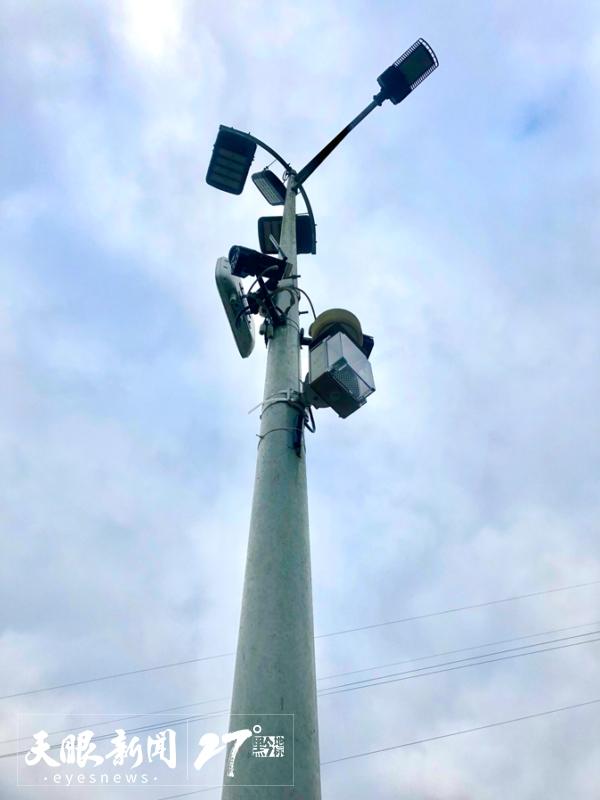 凤冈县锌硒茶产品品牌(凤冈锌硒茶乡)-硒宝网