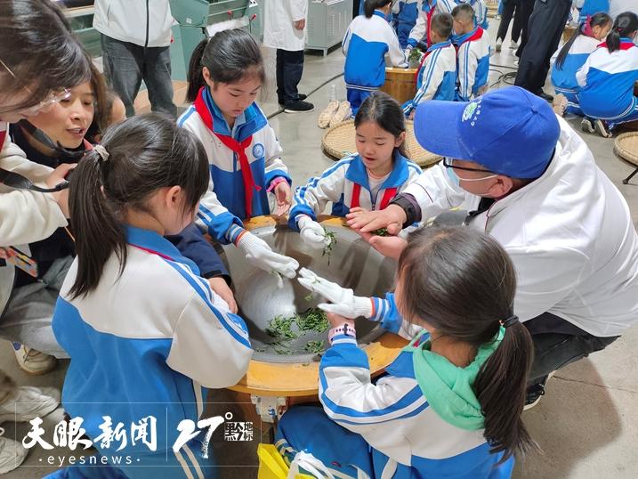 凤冈县锌硒茶产品品牌(凤冈锌硒茶乡)-硒宝网