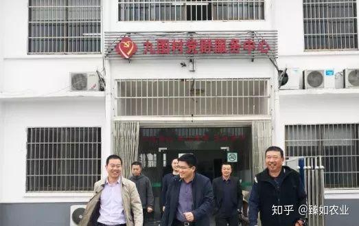 硒谷功能农产品怎么样