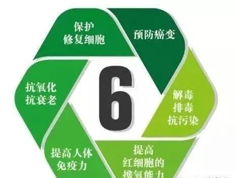 硒维康辅助保护胃黏膜（硒能修复胃粘膜吗）-硒宝网