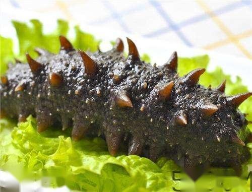海参哪些部位不能吃？海参的禁忌人群 第2张