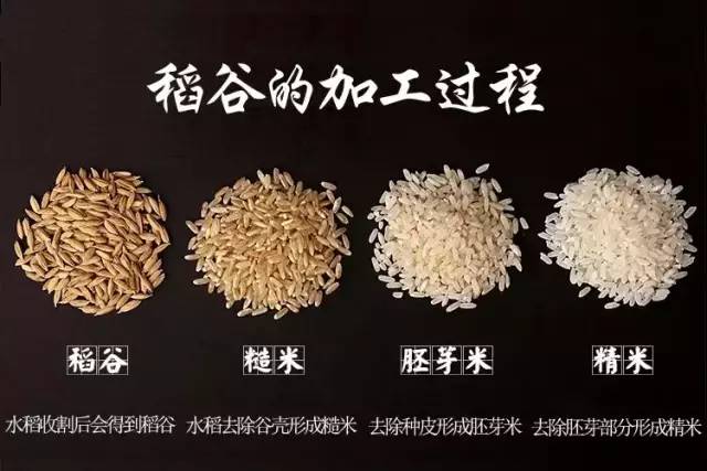 孕妇吃的锌硒宝是哪个(怀孕锌硒宝片有什么功效)-硒宝网