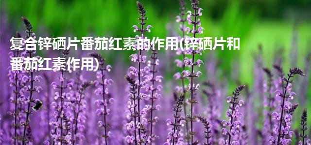 复合锌硒片番茄红素的作用(锌硒片和番茄红素作用)