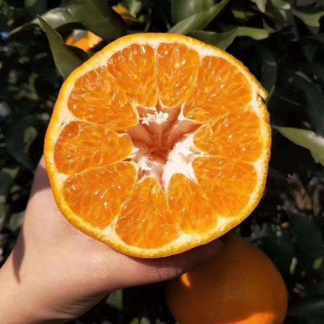 什么水果补锌(水果补锌的有哪些)-硒宝网