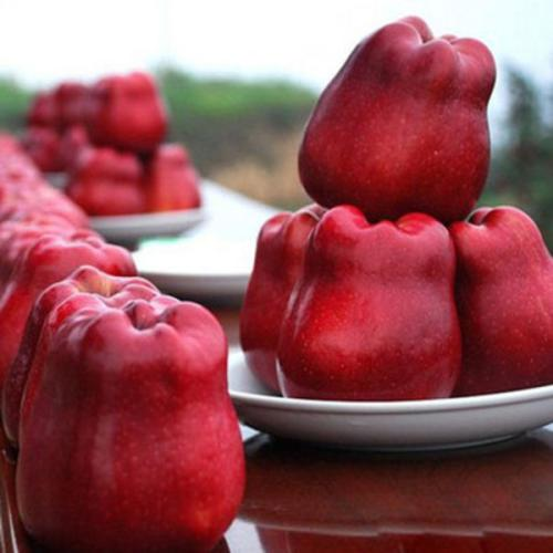 什么水果补锌(水果补锌的有哪些)-硒宝网