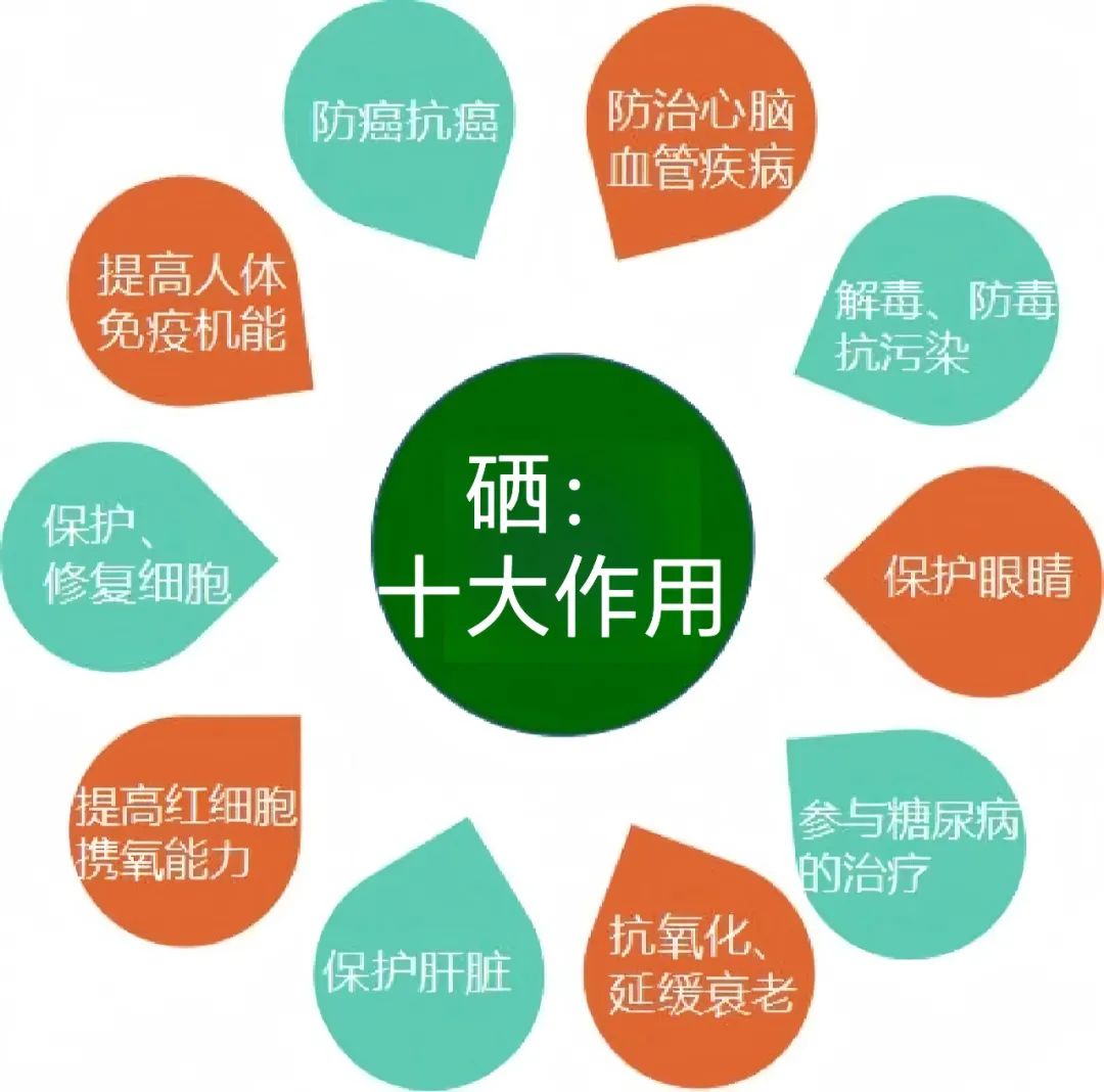517全民补硒日宣传片