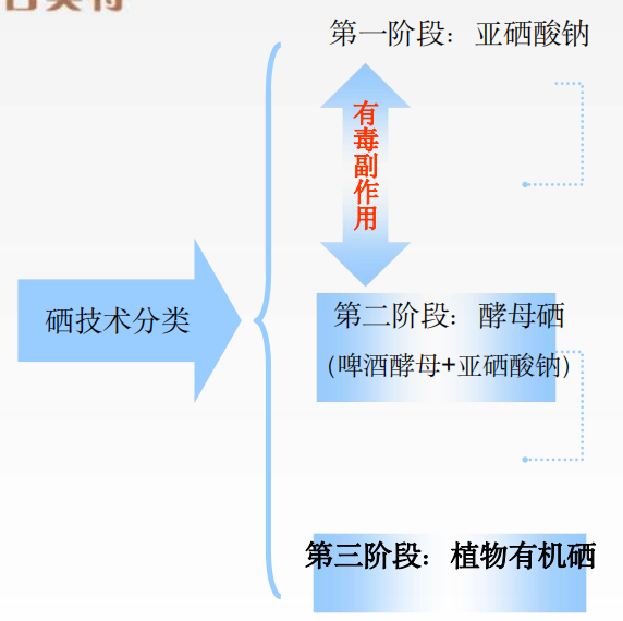 补硒补有机硒还是无机硒