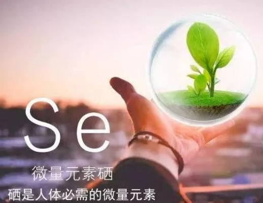 补硒用有机硒还是无机硒