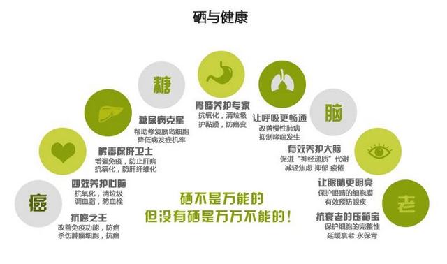 硒的功效与作用是什么呢？