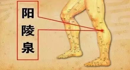 补硒和不补硒完全不一样(补硒制剂)-硒宝网