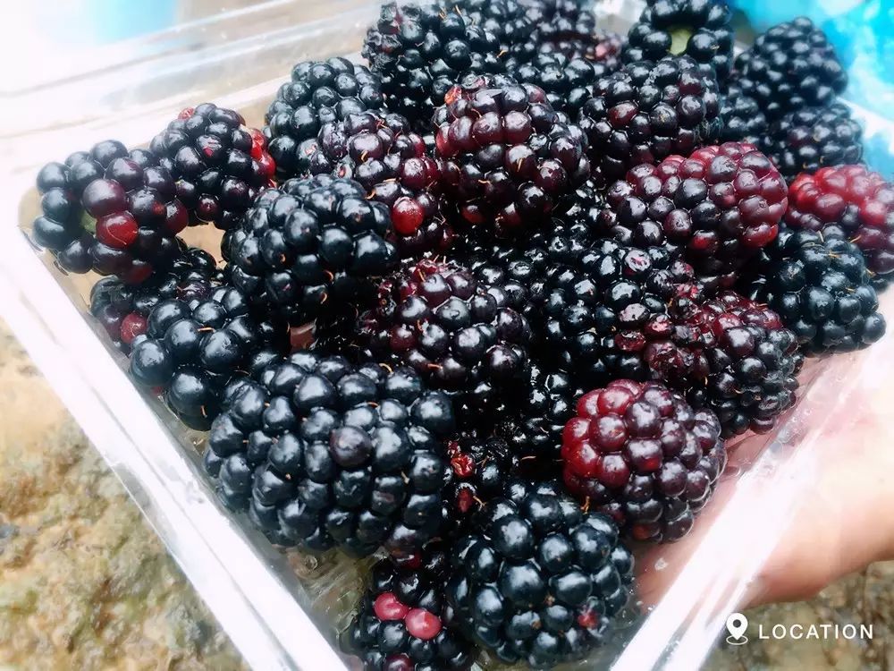 吃什么水果补硒最快最好