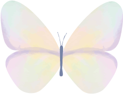 甲状腺发炎为什么要补硒