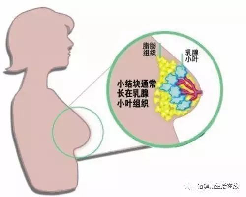 补硒还可以预防哪种疾?。蒲Р刮芴岣咭呙缃又中Ч?硒宝网