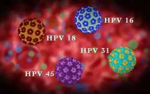 hpv病毒感染补什么硒