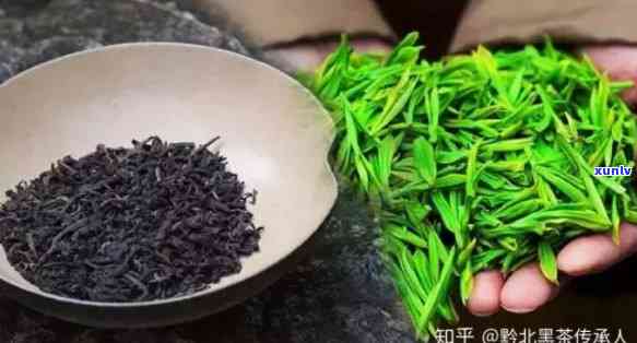 含硒的茶叶哪个吸收，比较不同含硒茶叶的吸收效果，哪个更好？