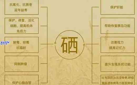 含硒的茶叶哪个吸收，比较不同含硒茶叶的吸收效果，哪个更好？