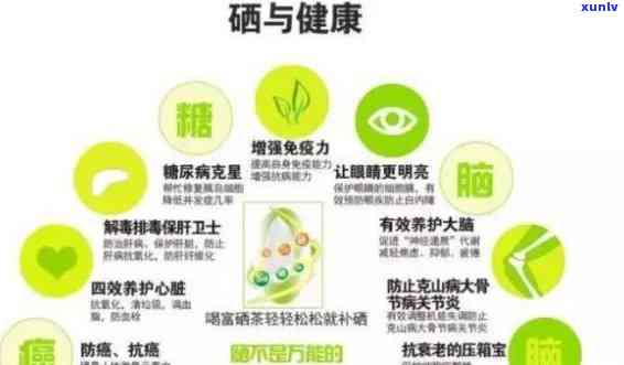 含硒的茶叶哪个吸收，比较不同含硒茶叶的吸收效果，哪个更好？