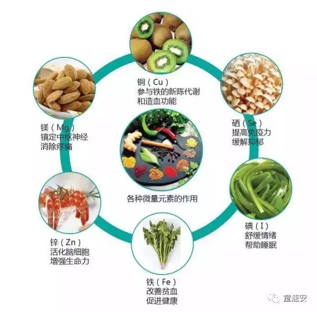 成人补硒补锌买哪种最好